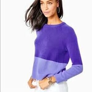 Lilly Pulitzer Kinnik Cashmere Sweater Size Small Purple Pullover Color Block